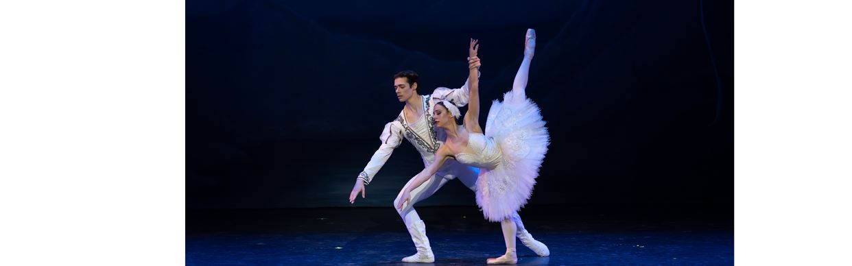 SWAN LAKE